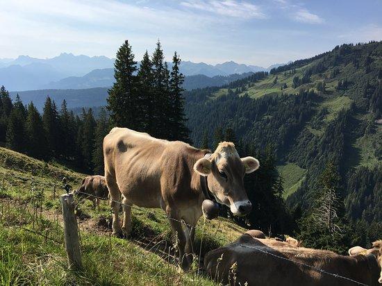 Restaurant Cafe Speisegalerie